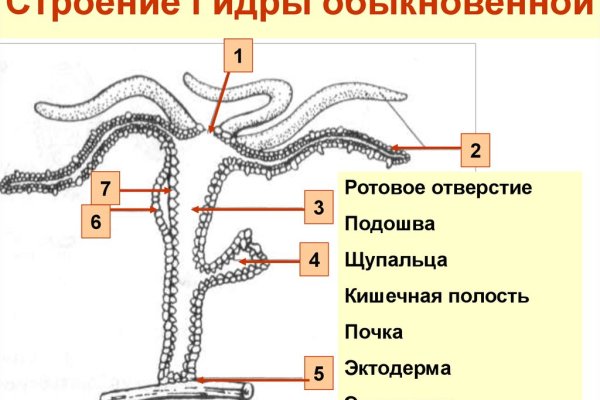 Mega сайт анонимных продаж ссылка