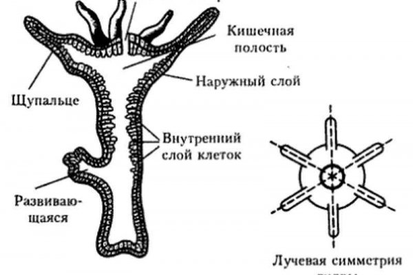 Мега конец