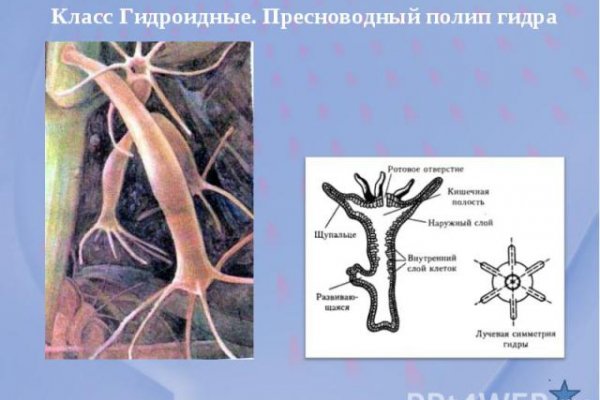 Как загрузить фотки на кракен